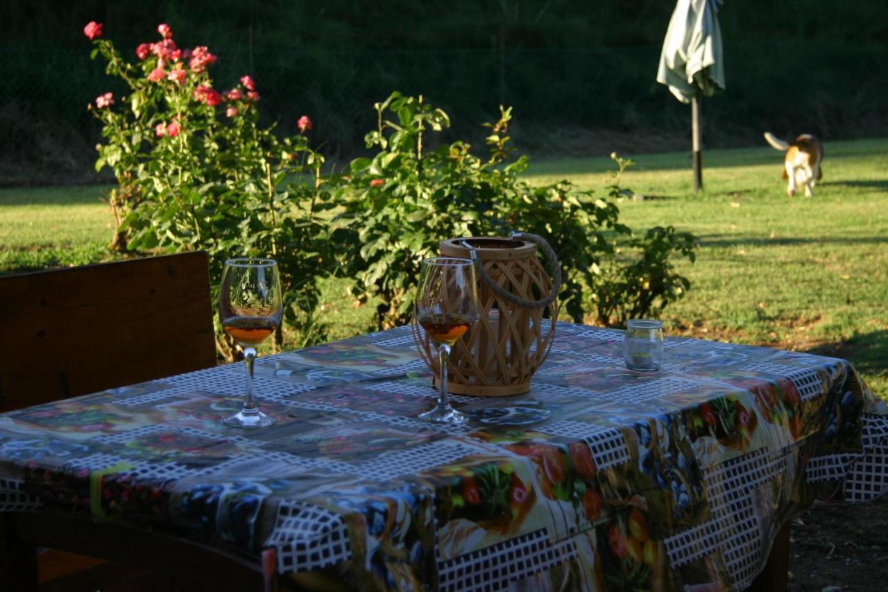 Villa Lilli 2 Ferrara Zewnętrze zdjęcie